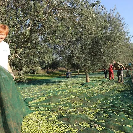 Ferienhaus-lavanda-3 Hotel